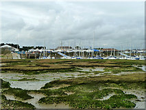 SU7204 : Saltings and Northney Marina by Robin Webster