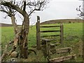 Sticil ar bwys Ynys-ger-gathan /  Stile near Ynys-ger-gathan