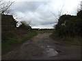 TM2339 : Bridleway to Levington Road by Geographer