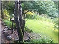 Woodland garden at the Killiecrankie Visitor Centre