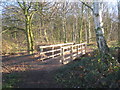 Footbridge into Sandall Beat Wood