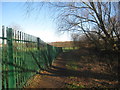 Footpath to Sandall Beat Wood