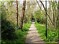 Path, Barnes Common