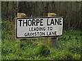 TM2637 : Thorpe Lane sign by Geographer
