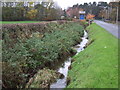 Drain beside Garstang Road (B6430)