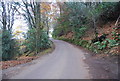 Road near Moses Hill Farm