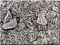 NO0103 : Frozen ground by William Starkey
