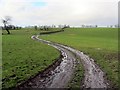 NY6335 : Farm track west of Fellside by Andrew Curtis