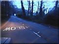 Conduit Lane in Coombe Woods