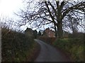 Bare trees by the road near Parsonage Farm