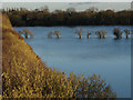 TQ0467 : Floods, Abbey Mead by Alan Hunt