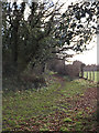 Footpath to the A1156 Felixstowe Road