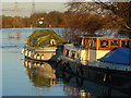 River boats, Chertsey