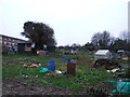 Allotment gardens, Mill Road, Gillingham