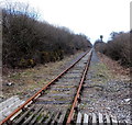 Rusty railway line near Fountain level crossing