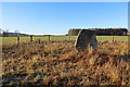 Standing stone, Westerton