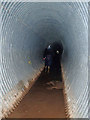 Construction in Bathealton Railway Tunnel