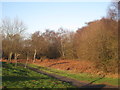 Footpath alongside Luneburg Way