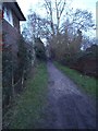 Path along the edge of Hampstead Heath Extension