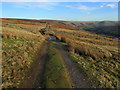 On Carle Fell Road