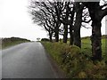 Loughdoo Road, Killeenan