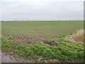 SE7820 : Low West Moor Field, Moor Fields by Christine Johnstone