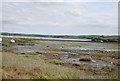 Mud flats, Angle Bay