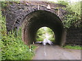 Horse shoe shaped bridge