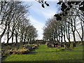 The graveyard at Cowling Hill