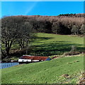 ST2392 : Farm buildings in a clearing near Cwmcarn Forest by Jaggery