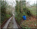 Talybont Lane towards Lewstone