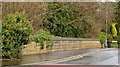 Railway bridge, Seahill, Craigavad