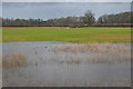 Flooded field near Old Basing