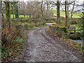 A bridge over the river Yeo in Dymsdale Wood