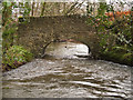 A bridge over the river Yeo in Dymsdale Wood as seen from upstream