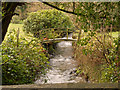 Looking up the river Yeo from a bridge near Foxdown Manor