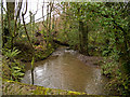 Looking down the river Yeo from a bridge near Broad Parkham