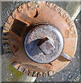 SO4958 : Top of an old hydrant, Hereford Road, Leominster by Jaggery