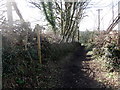 Footpath to Bilberryhill