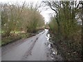 Albury: The lane to Albury End