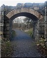 Pont Droed Dros Gangen Bryngwyn / Footbridge Over The Bryngwyn Branch