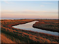 TL9810 : Borrow dyke at sundown, Tollesbury Wick Marshes by Roger Jones