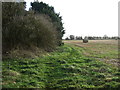 Footpath to Speeton