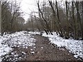 A dry old gravel bed of the River Nethy