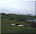 Grazing near Appleby-in-Westmorland