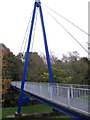 The Solitude Park Suspension Bridge