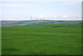 Milford Haven Oil Refinery in the distance