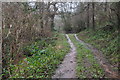 SS9504 : Mid Devon : Small Track by Lewis Clarke