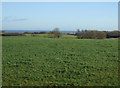 Farmland near Naisberry