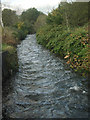 SS9389 : The River Ogmore just south of Ogmore Vale by eswales